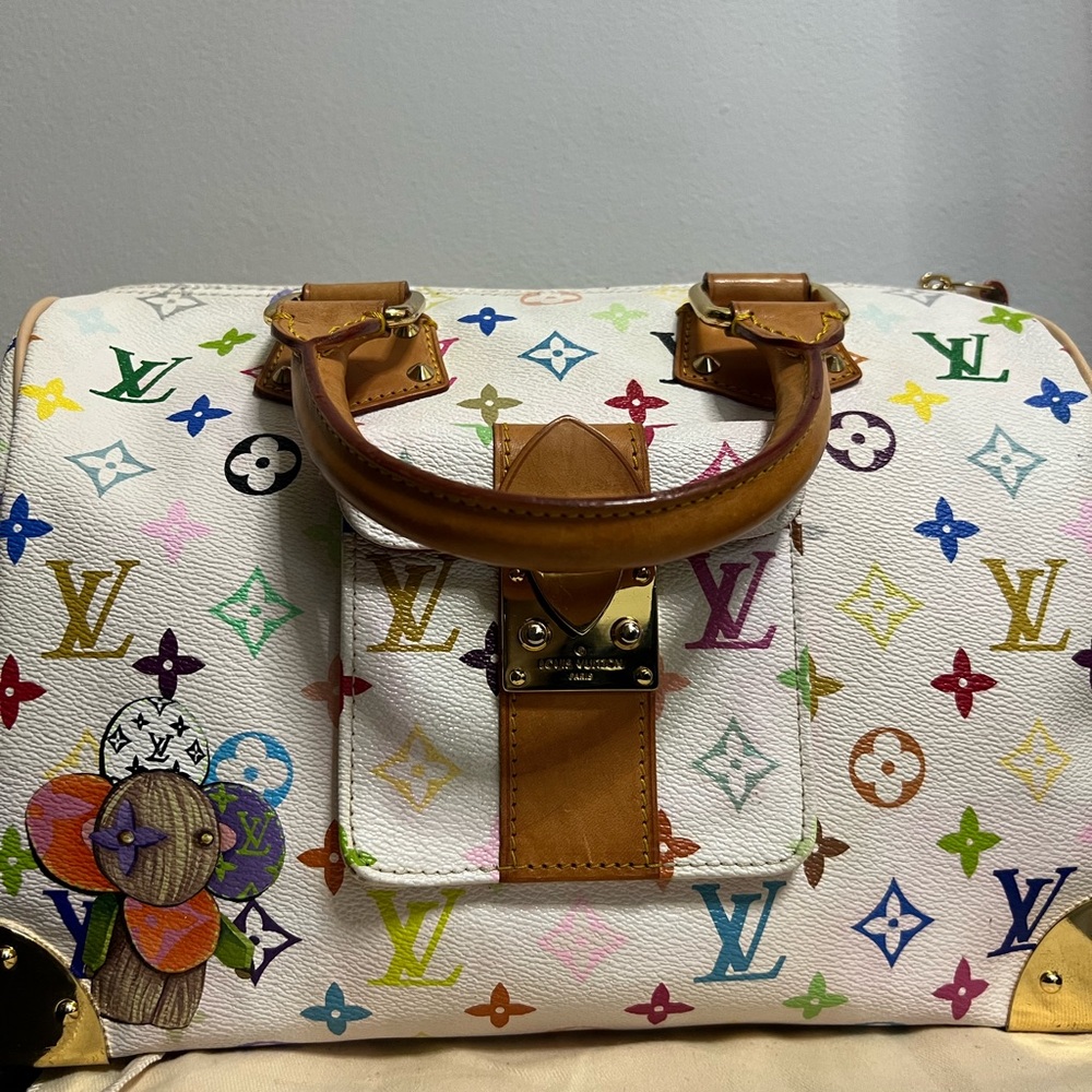 Louis Vuitton Multicolor Monogram Handbag